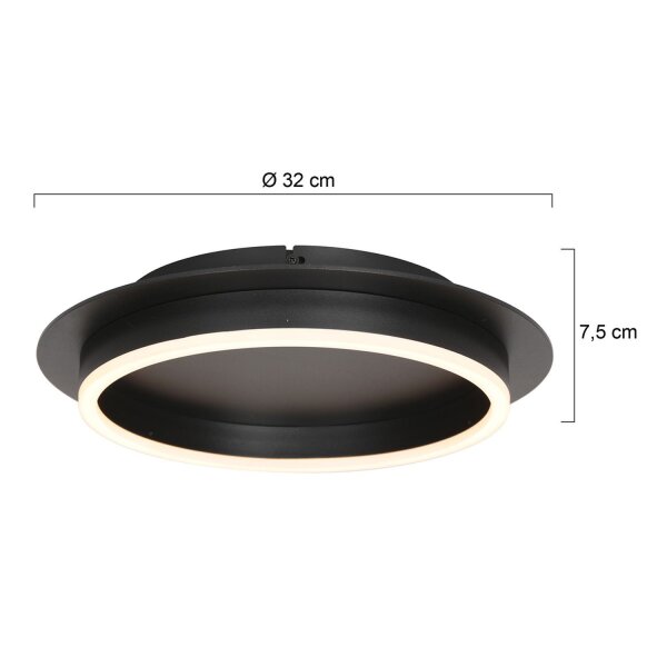 Plafonnier LED métal plastique noir 20 W 2700 K