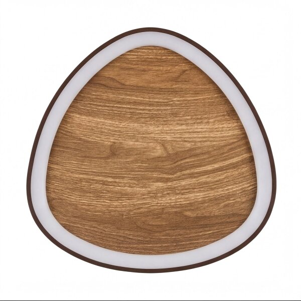 Applique LED Nature Noir L:45 cm 40W Scandinave