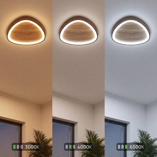 Applique LED Nature Noir L:45 cm 40W Scandinave