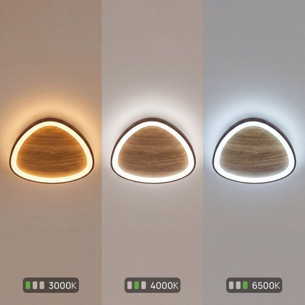 Applique LED Nature Noir L:45 cm 40W Scandinave