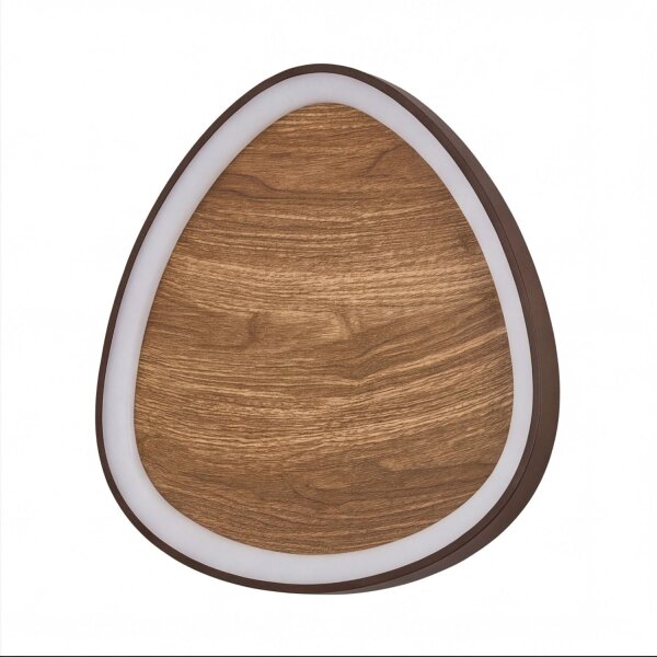 Applique LED Nature Noir L:45 cm 40W Scandinave