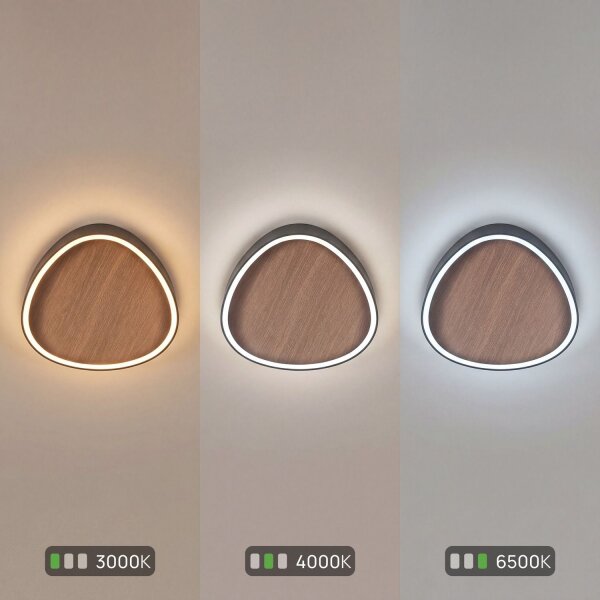 Applique LED Nature Noir L:85 cm 60W Scandinave
