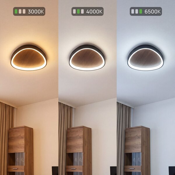 Applique LED Nature Noir L:65 cm 58 W Scandinave