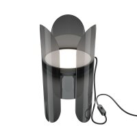 Lampe de table LED métal hauteur 30 cm noir 550 lm...