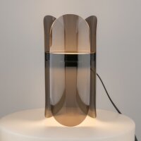 Lampe de table LED métal hauteur 30 cm noir 550 lm...