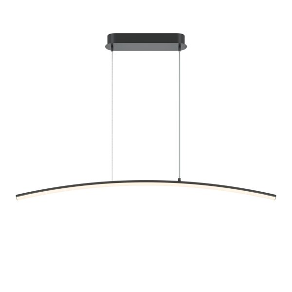 Suspension LED métal H : max. 305,7 cm noir 800 lm