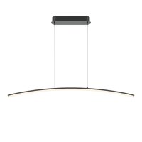 Suspension LED métal H : max. 305,7 cm noir 800 lm