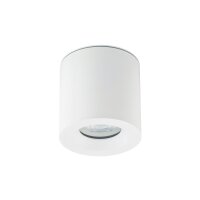 Spot blanc à poser aluminium accentué IP44...