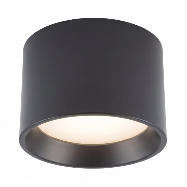 Spot de plafond noir aluminium GX53 IP54 L:10 cm apparent