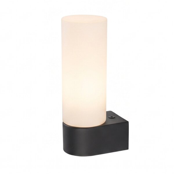 Applique noire anti-éblouissement verre métal G9 IP44 L:5 cm