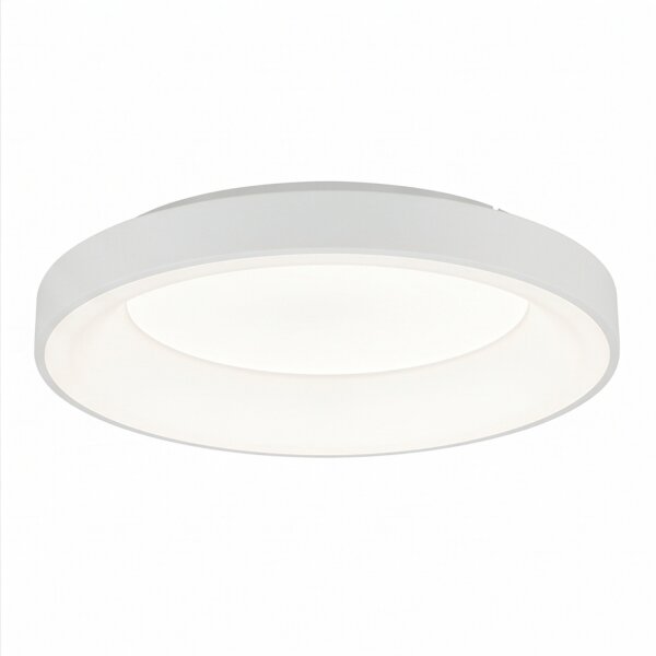 Plafonnier LED Blanc Métal Ø60 cm rond 3000 K blanc chaud