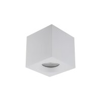 Petit spot de plafond noir métal verre IP44 8,5 cm
