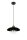 Lampe à suspendre verre clair métal noir Ø30 cm faible éblouissement