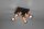 Spot de plafond flexible métal bois L:22 cm E14 4-flmg