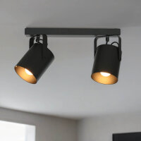 Spot de plafond noir 2 flmg E27