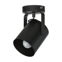 Projecteur plafond noir E27