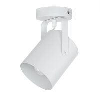 Spot plafond blanc E27