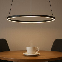 Suspension LED métal anneau Ø 45 cm noir...