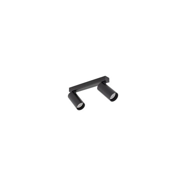 Spot de plafond 2 flammes orientable aluminium noir GU10