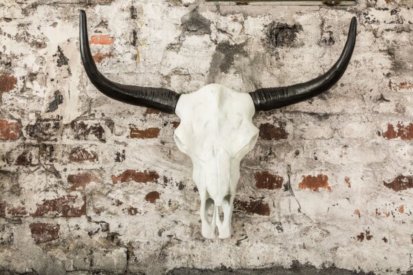 Sculpture murale en aluminium Crâne de buffle 68 cm en blanc noir