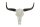 Sculpture murale en aluminium Crâne de buffle 68 cm en blanc noir