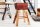 Tabouret de bar en cuir véritable massif 40 cm en marron café naturel
