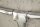Sculpture murale aluminium 120 cm en blanc argent Tête de taureau