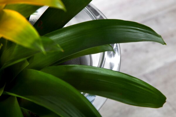 Vase en métal Ø 35 cm H : 60 cm en argent