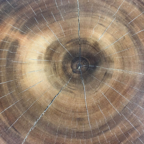 Table basse Rondelle darbre Bois dacacia Métal Travail manuel