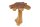 Table dappoint en teck 50x50 cm travail manuel tranche darbre