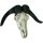 Cr&acirc;ne d&eacute;coratif Buffle Troph&eacute;e de chasse L : 65,5 cm Polyr&eacute;sine