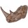 Sculpture murale Tête de rhinocéros Polyrésine L : 61 cm Brun artificiel