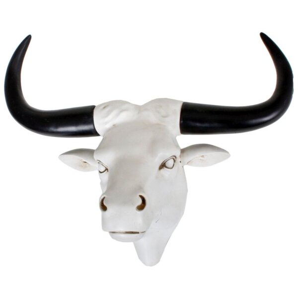 Crâne de bison artificiel Noir Blanc L : 53,5cm Trophée de chasse