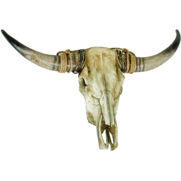 Crâne de bovin artificiel Trophée de chasse en polyrésine L : 79cm