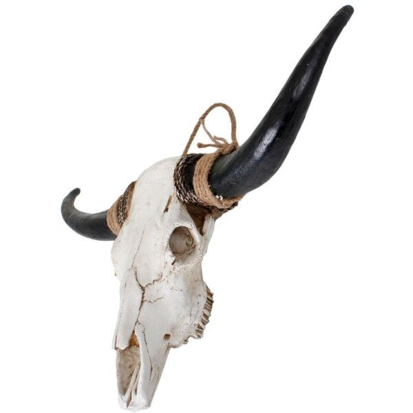 Déco crâne de bovin L : 80 cm grand artificiel blanc marron