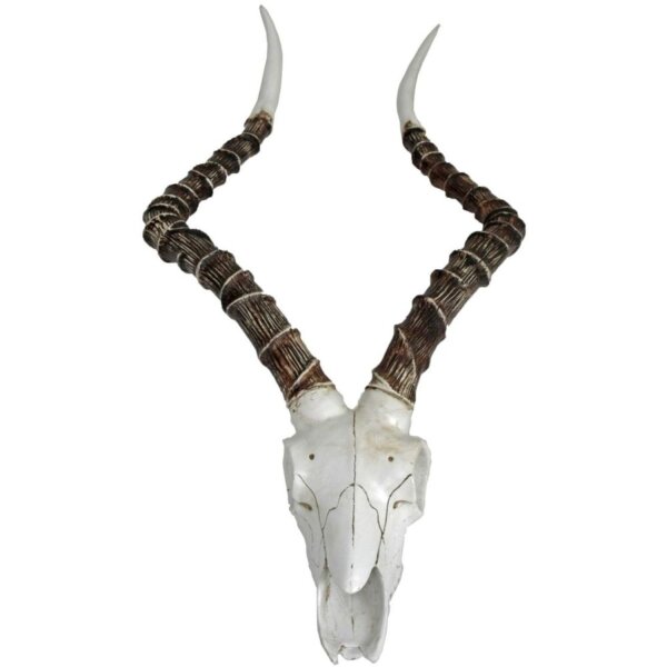 Deko Trophée de chasse animal crâne H : 68 cm Polyresin artificiel