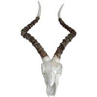 Deko Trophée de chasse animal crâne H : 68...