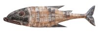Décoration murale en bois poisson 100 cm de long...