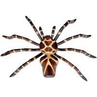 Deko araignée sculpture murale en bois 96 x 75cm...