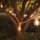 Guirlande lumineuse extérieure LED 5m 10x E27 IP44 2700 K avec fiche