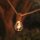 Guirlande lumineuse solaire extérieure LED 2700K Jute IP44 5m de long