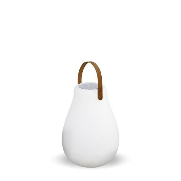 Lampe dextérieur avec haut-parleur Bluetooth RGBW Batterie portable