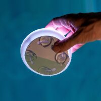 Lampe de piscine LED sans perçage Changement de...