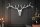 Décoration murale bois de cerf en métal 98 cm de large en argent