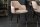 Chaise de salle à manger avec accoudoirs velours gris noir or