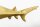 Statue décorative en métal Requin poisson en or 68 cm de long artisanat