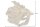 Statue décorative en polyrésine en or Poisson combattant H : 36 cm