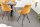Chaise de salle à manger Cordon Métal sans accoudoirs en jaune noir