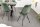 Chaise de salle à manger sans accoudoirs Velours côtelé métal vert noir