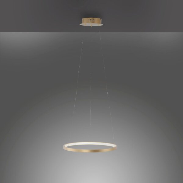 Lampe à suspendre LED Ring en métal doré Ø39 cm 2450 lm 19 W